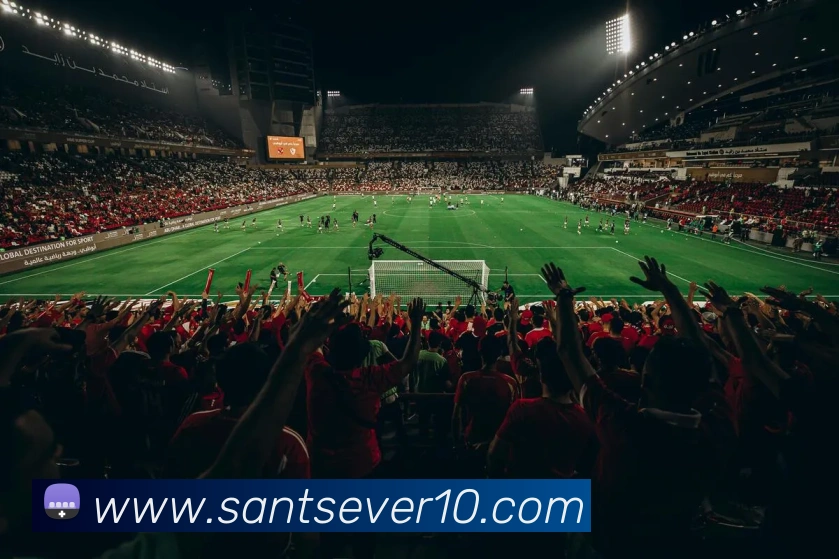 mksports体育全站App